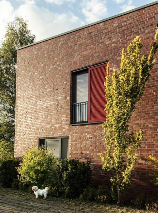 Schickes Wohnstudio Mit Garten Am Aasee อิบเบนบูเริน ภายนอก รูปภาพ